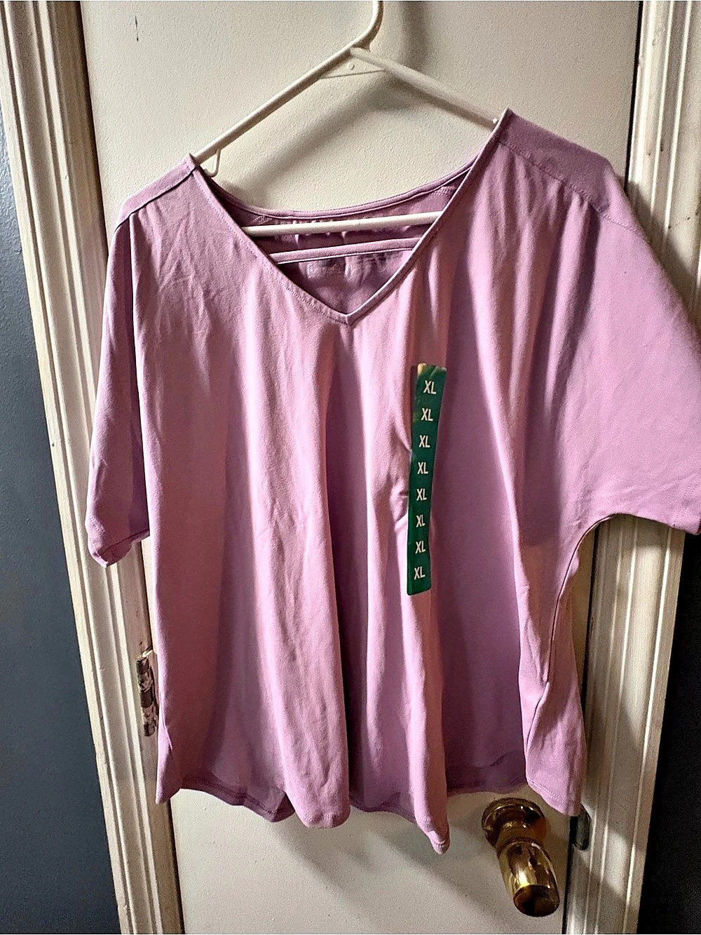 Tranquility Short Sleeve V-Neck Top in Pink Size XL Like New